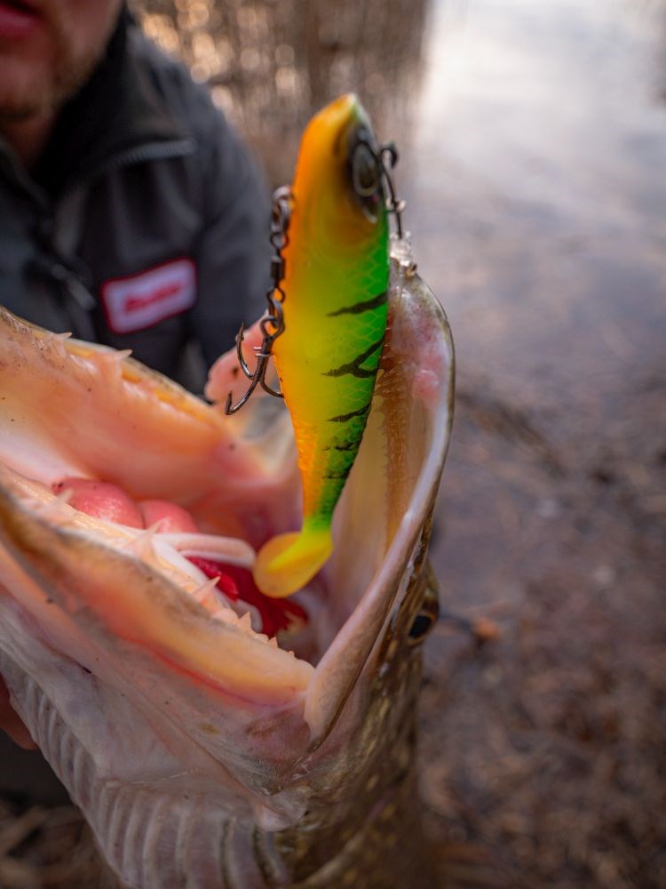 Berkley Gumová Nástraha PowerBait CullShad Deep Sinking Perch (5)